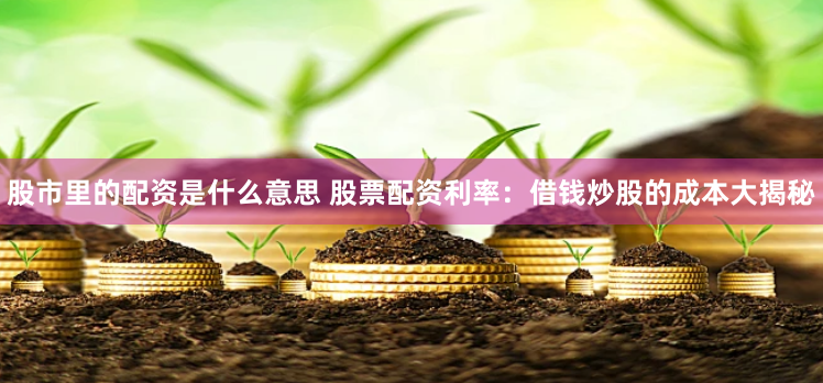 股市里的配资是什么意思 股票配资利率：借钱炒股的成本大揭秘