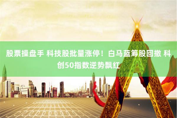 股票操盘手 科技股批量涨停！白马蓝筹股回撤 科创50指数逆势飘红