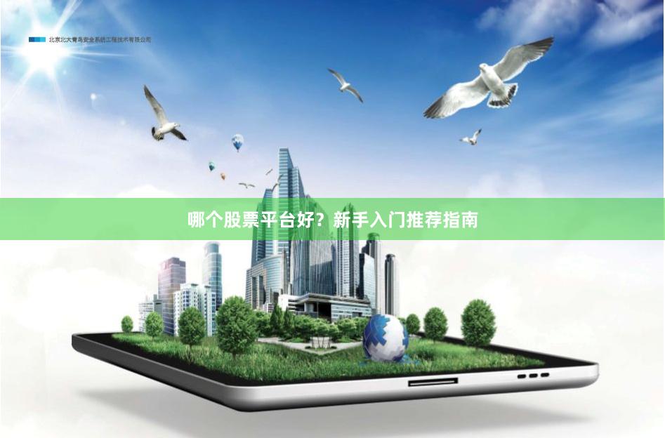 哪个股票平台好?新手入门推荐指南